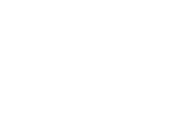 totofly.cl